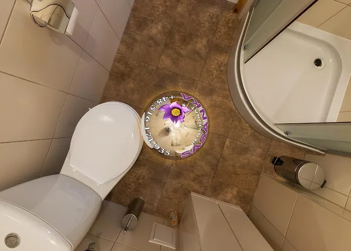 Sasanka - ゲストハウス 3*